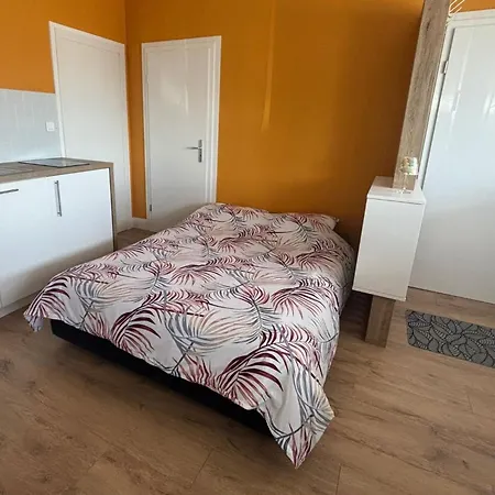 Cosy Rdc Proche De La Gare Apartament Altkirch