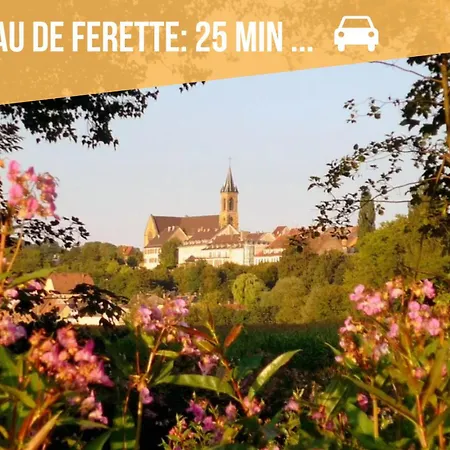 Cosy Rdc Proche De La Gare Apartament *