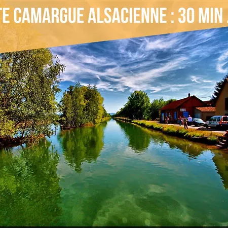 Cosy Rdc Proche De La Gare Appartamento Altkirch